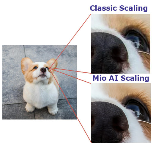 AI photo enhancement comparison – original vs. upscaled for sharper canvas prints