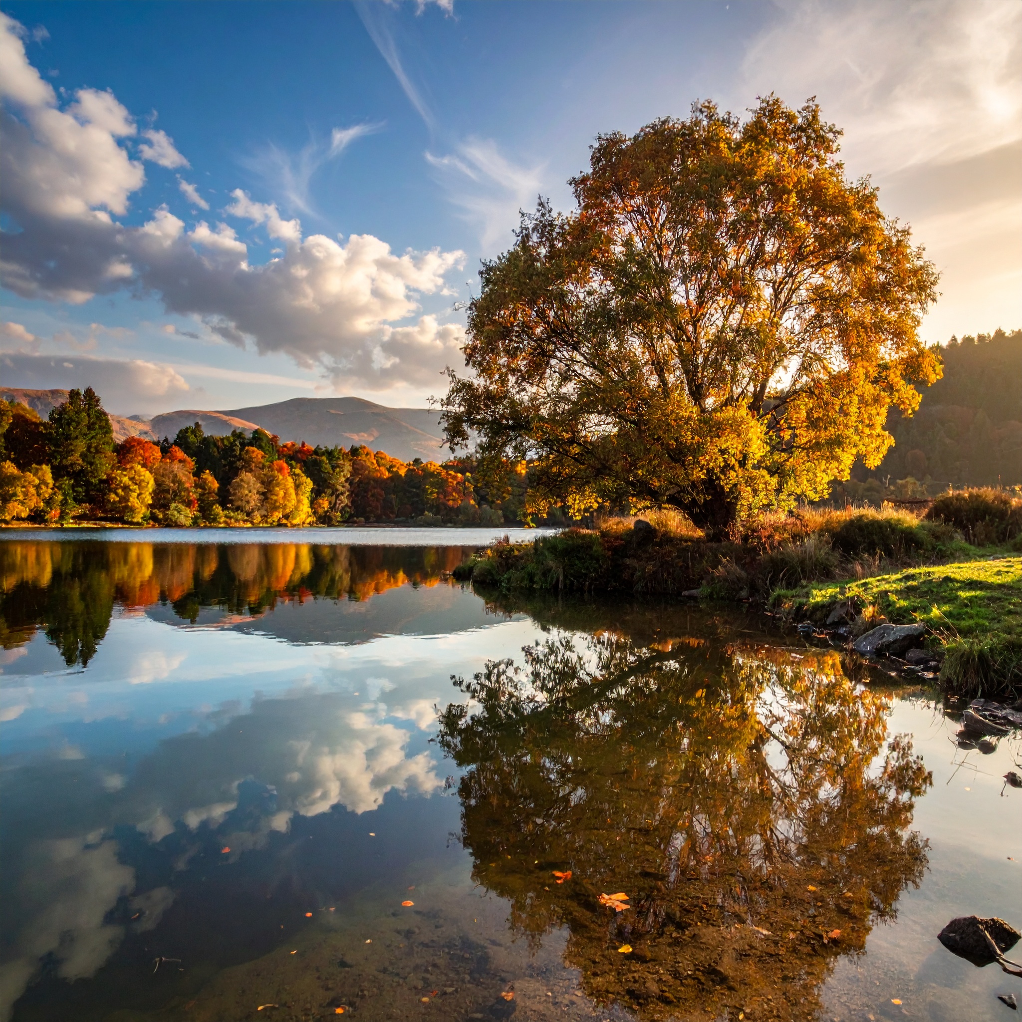 Lake Reflection canvas art
